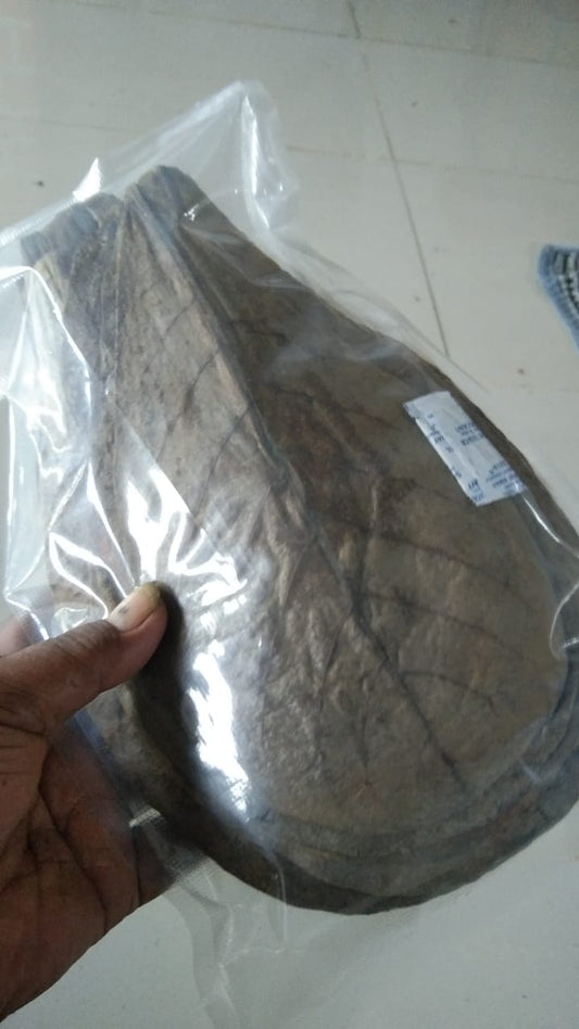 Natural Indian Almond Leaves
