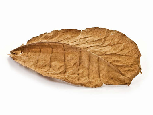Natural Indian Almond Leaves